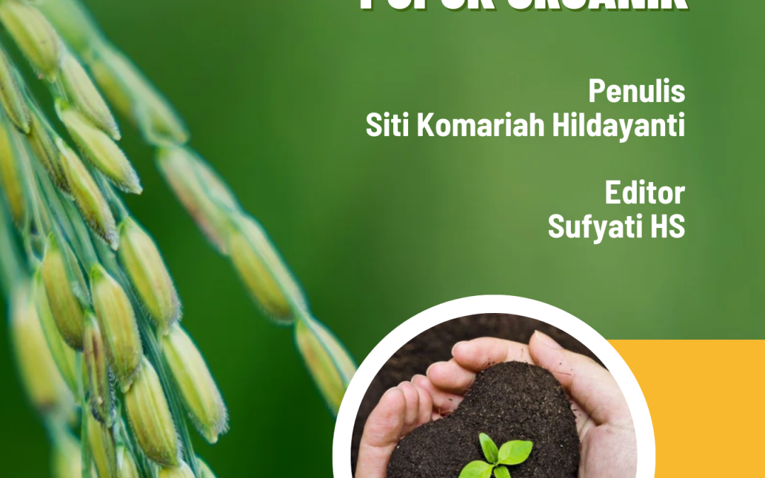 PERFORMA USAHATANI PADI SAWAH PASANG SURUT DAN IRIGASI YANG MENGGUNAKAN PUPUK ORGANIK